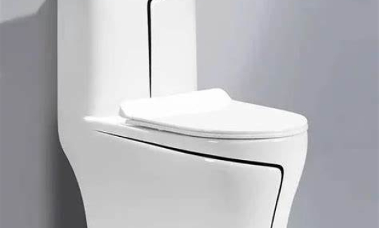 BỒN CẦU KHỐI CAO CẤP SK-2071D