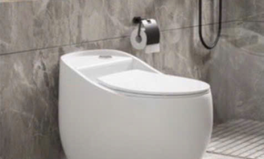 BỒN CẦU KHỐI CAO CẤP HÌNH TRỨNG SK-2075